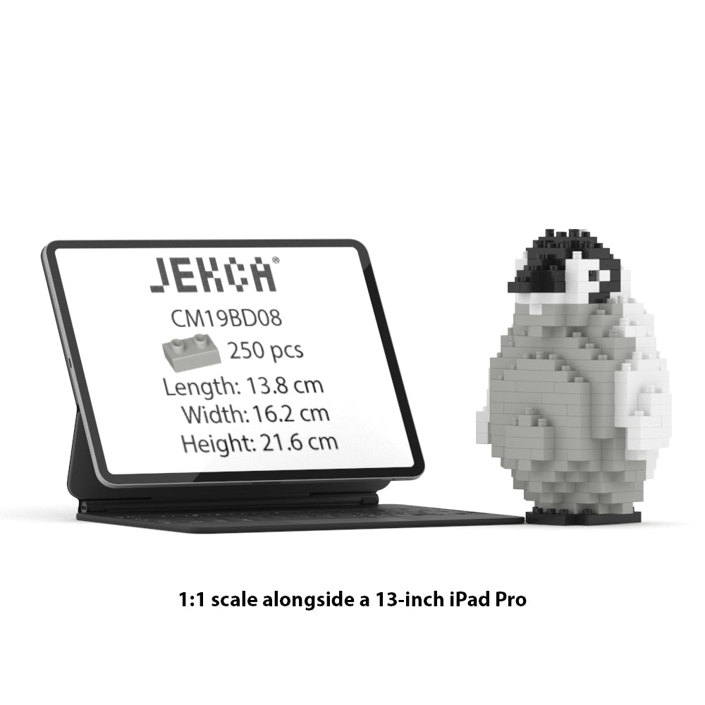 Manchot Empereur bébé