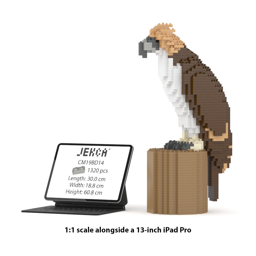 Aigle des Philippines