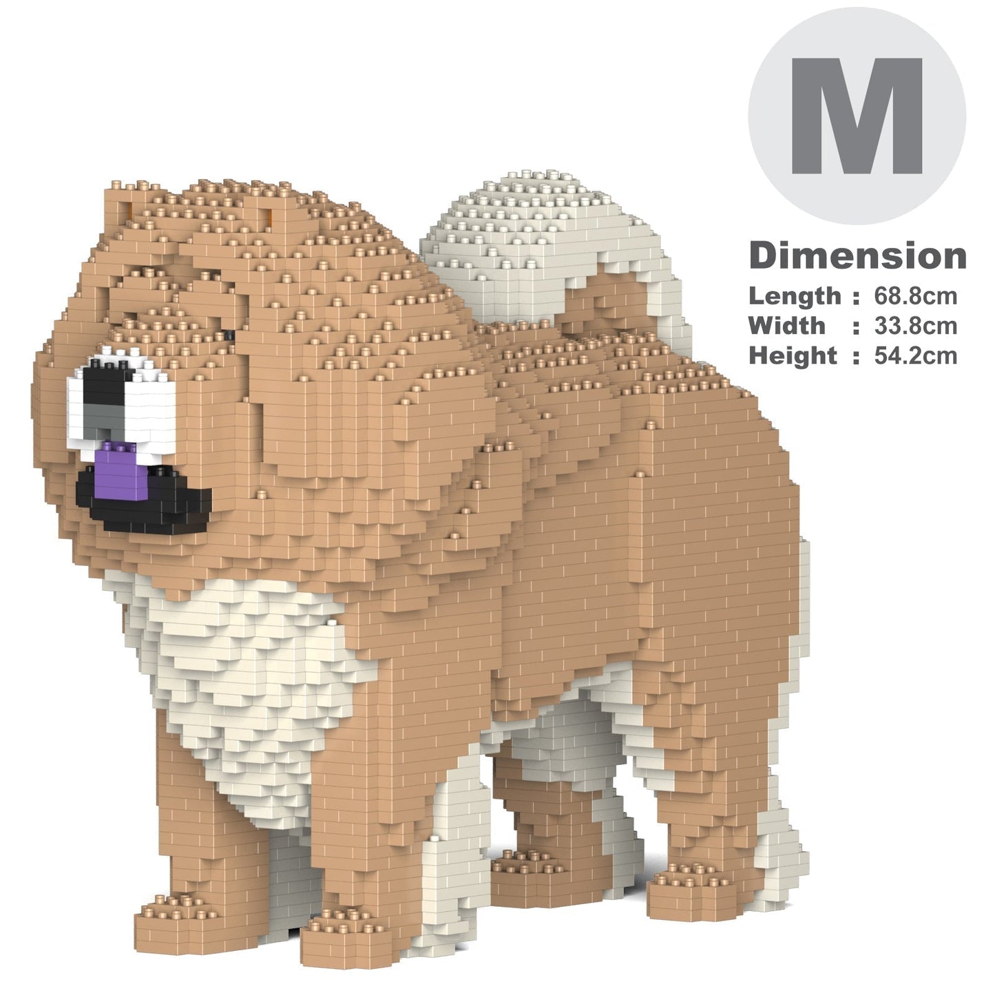 Chien Chow Chow mâle beige
