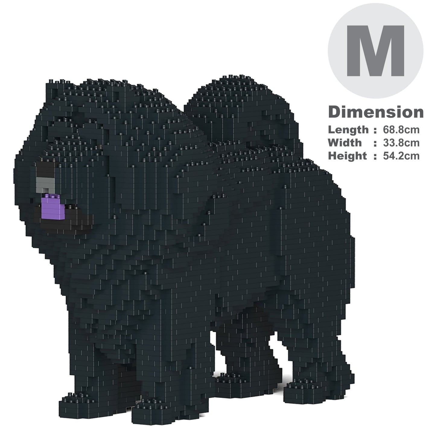 Chien Chow Chow mâle noir