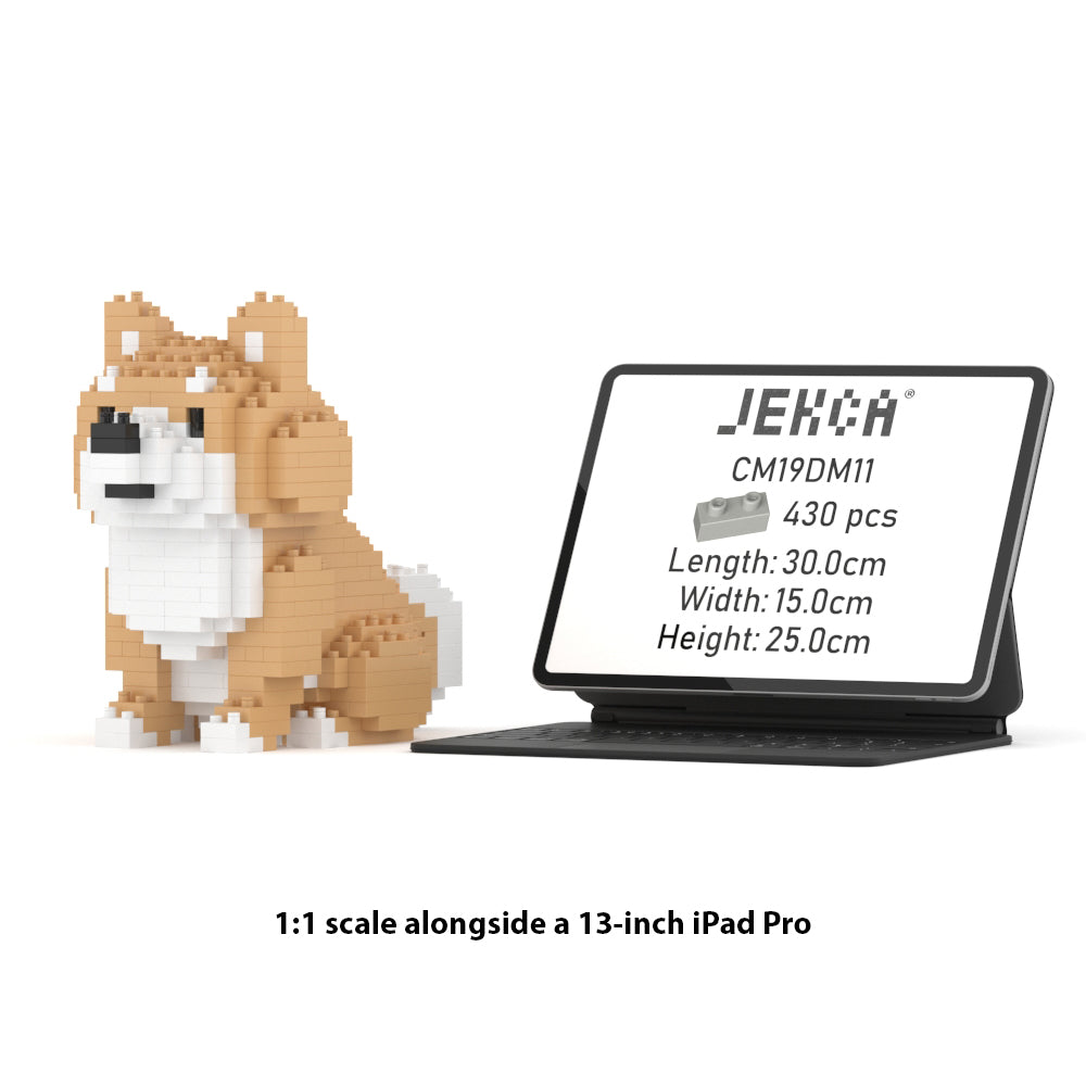 Mini shiba 01
