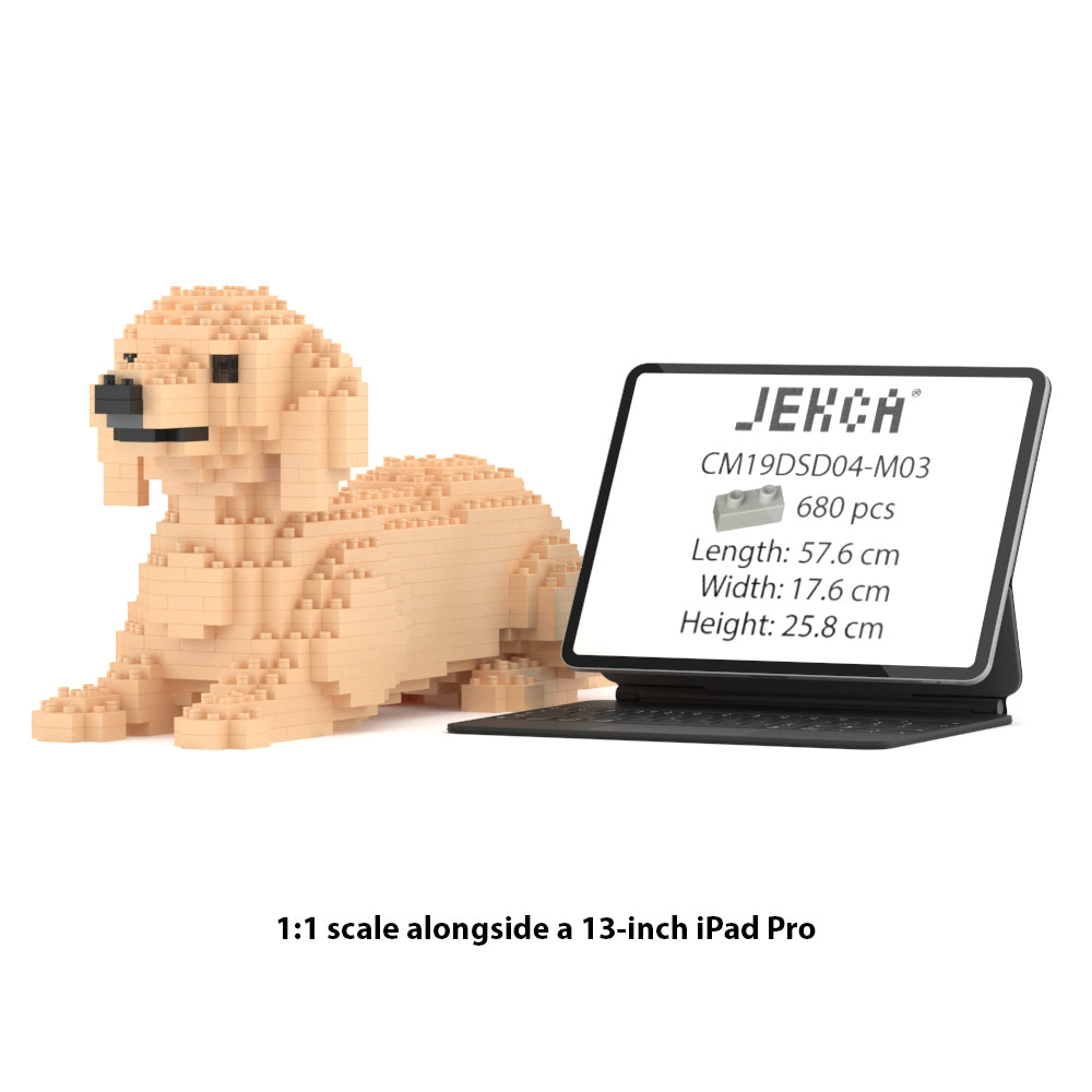 Chien Teckel couché crème