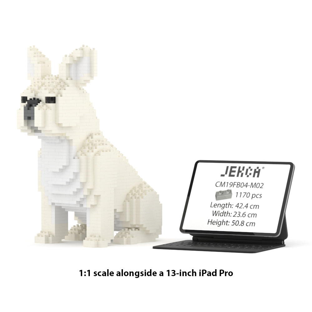 Chien Bouledogue Français assis crème