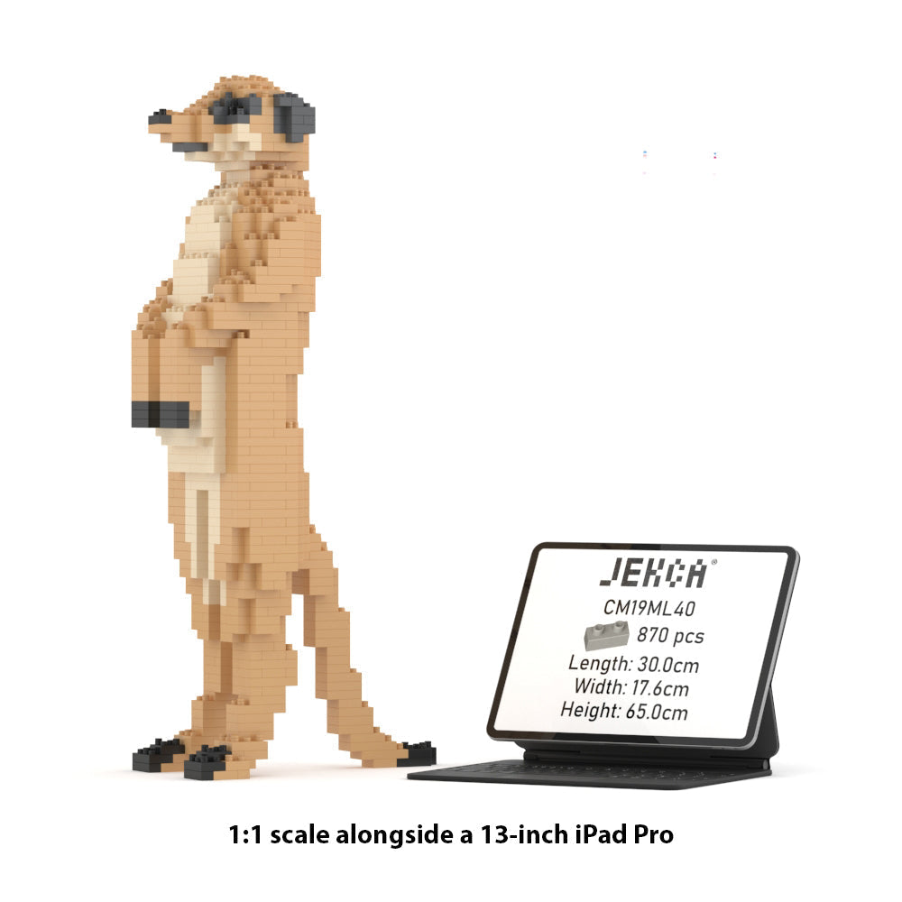 Suricate