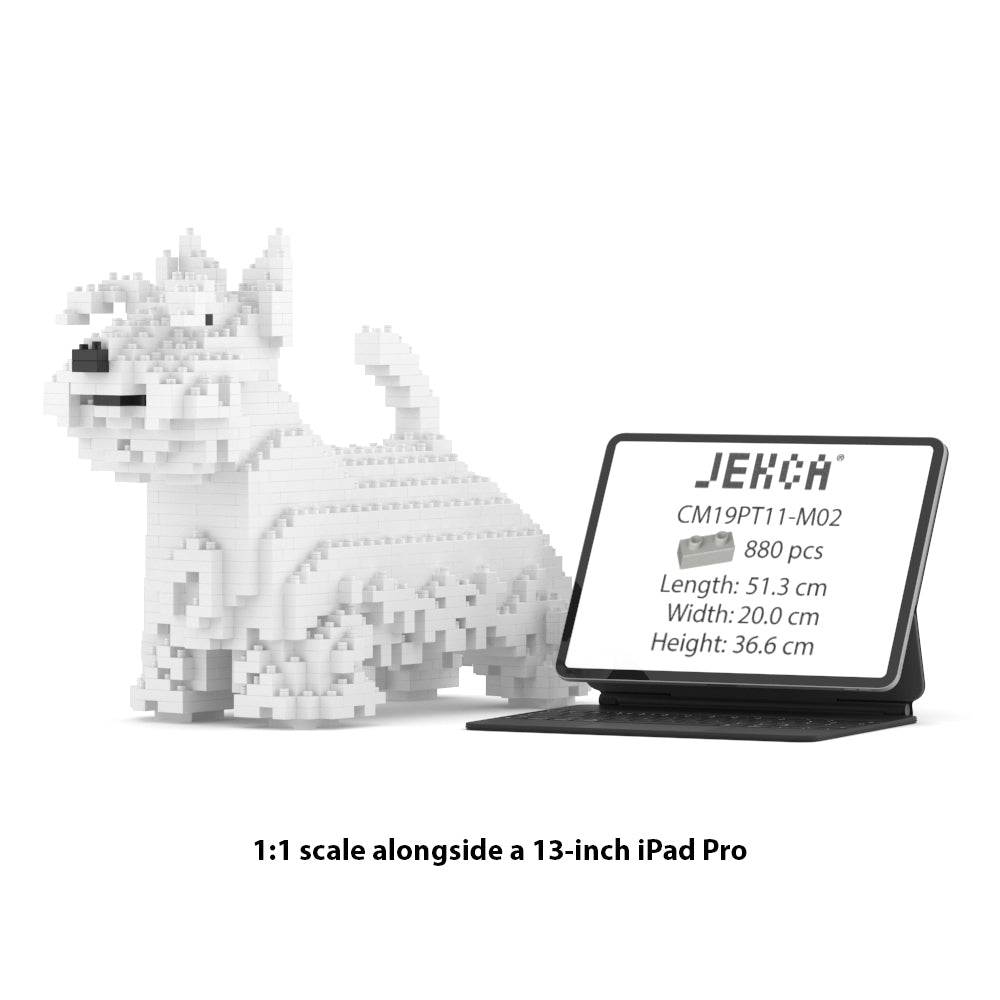 Chien Terrier Ecossais blanc