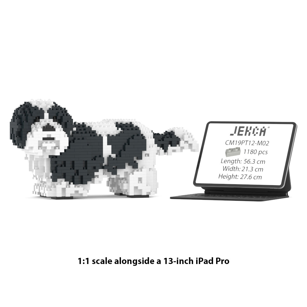 Chien Shih Tzu taches noires