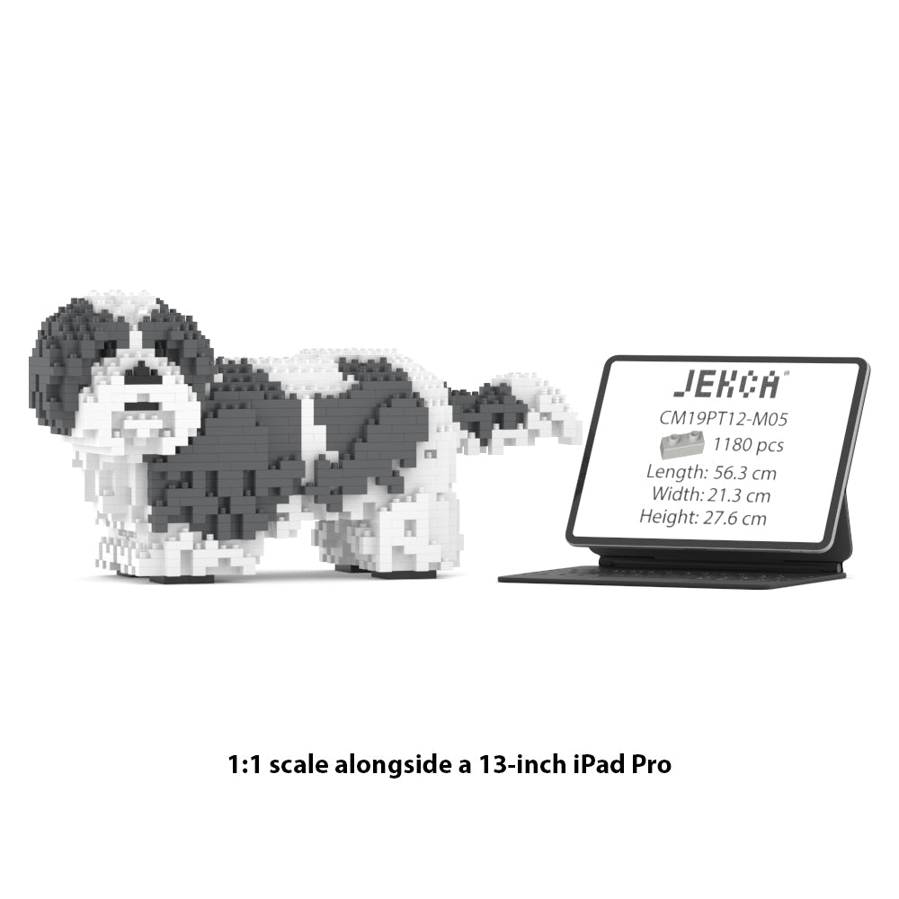 Shih Tzu 01S-M05