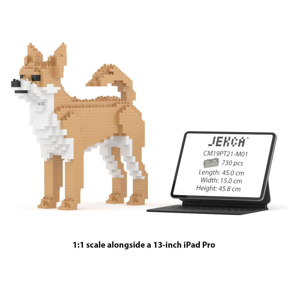 Chien Chihuahua beige