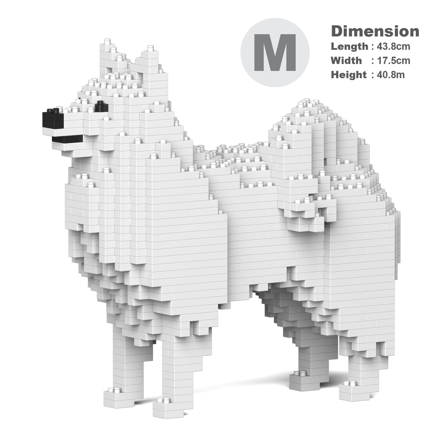 Chien Spitz Japonais