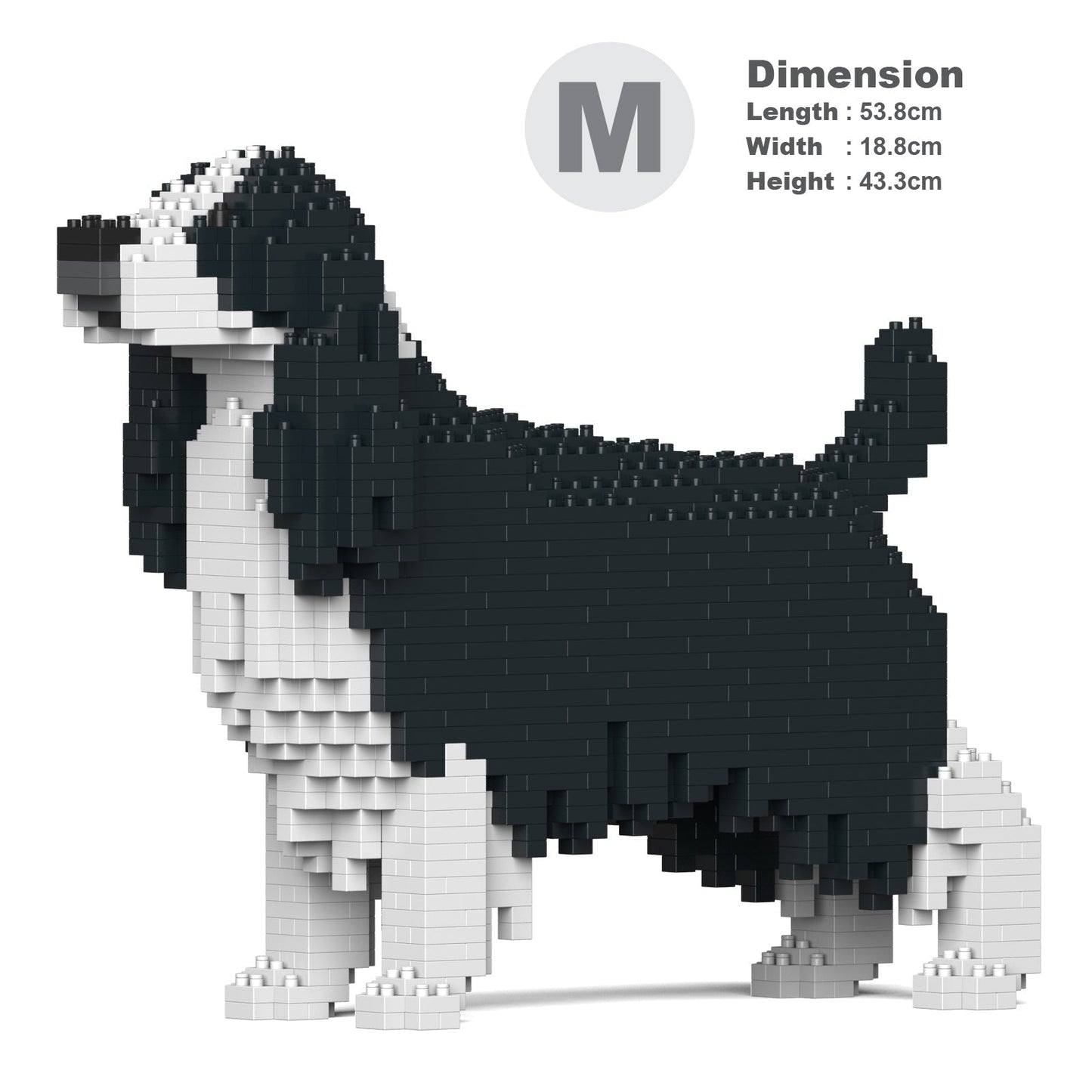 Chien Springer Anglais noir