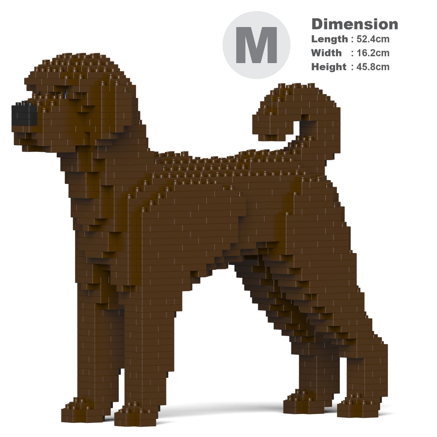 Chien Labradoodle marron