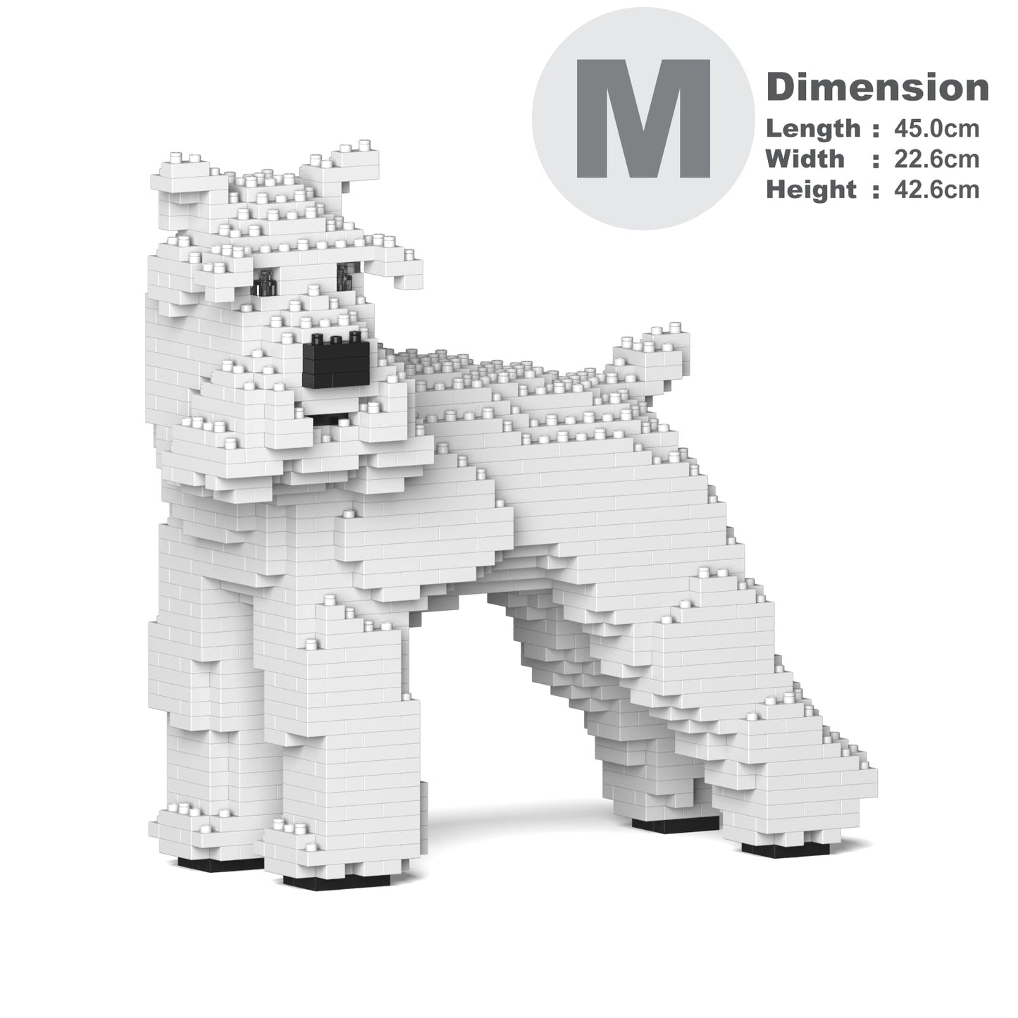 Chien Schnauzer Moyen qui tourne la tête blanc