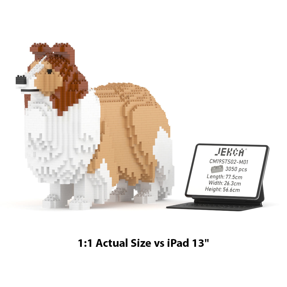 Shetland Sheepdog 02S-M01
