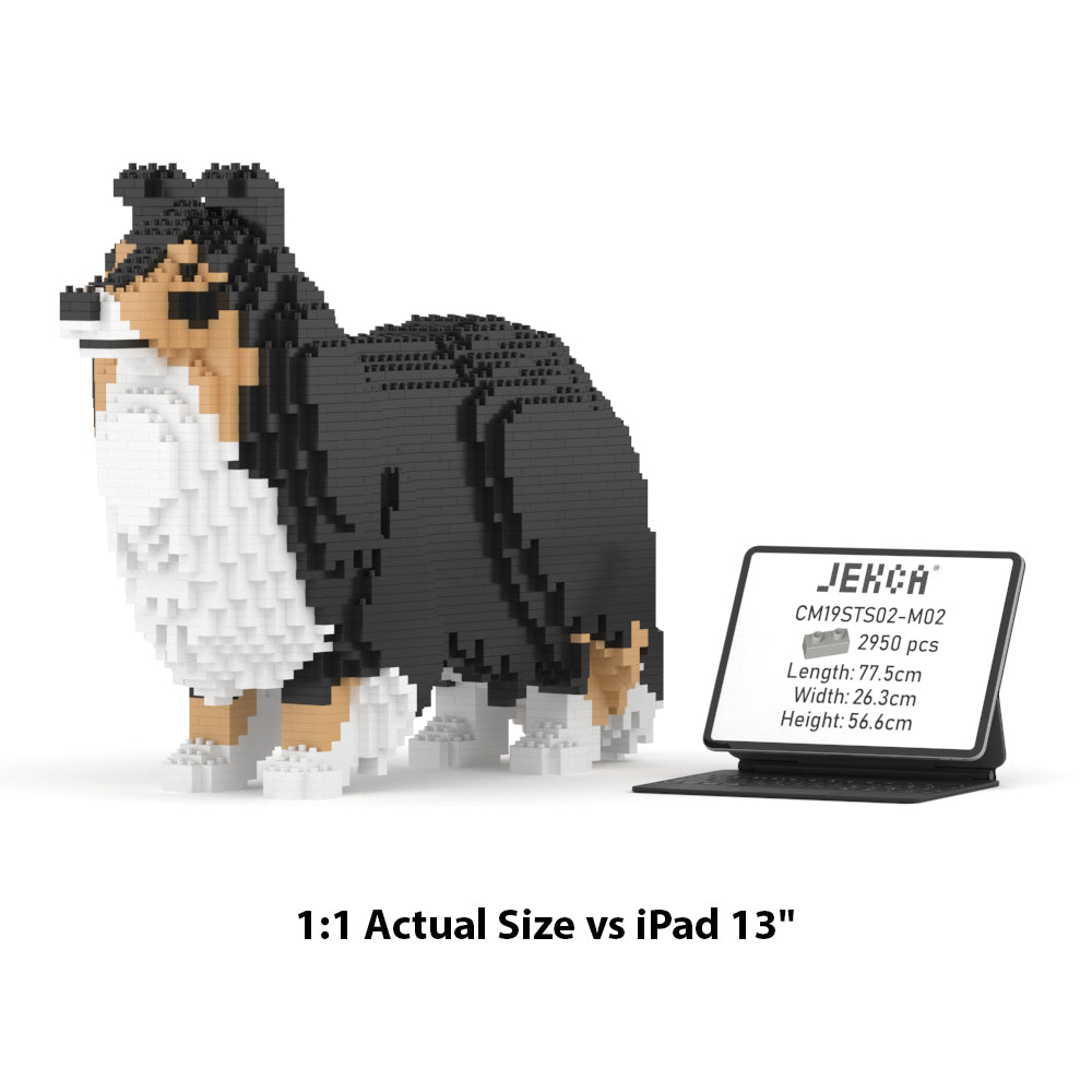 Shetland Sheepdog 02S-M02