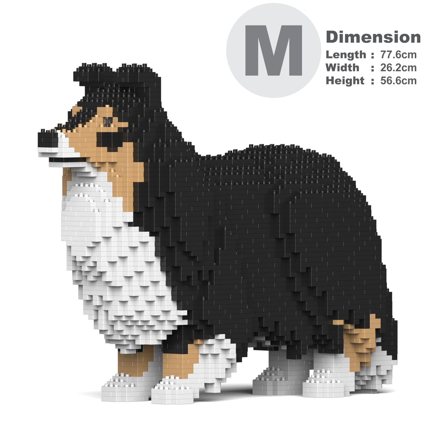 Shetland Sheepdog 02S-M02