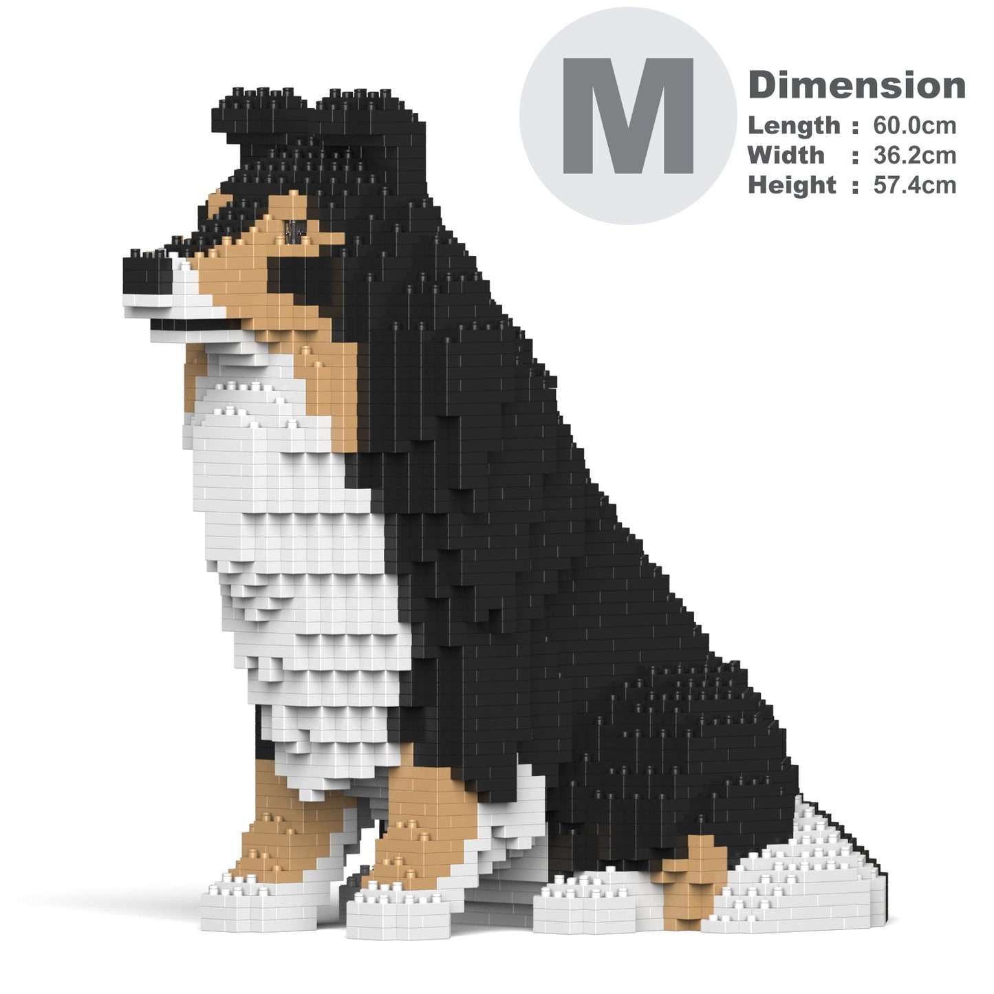 Shetland Sheepdog 03S-M02
