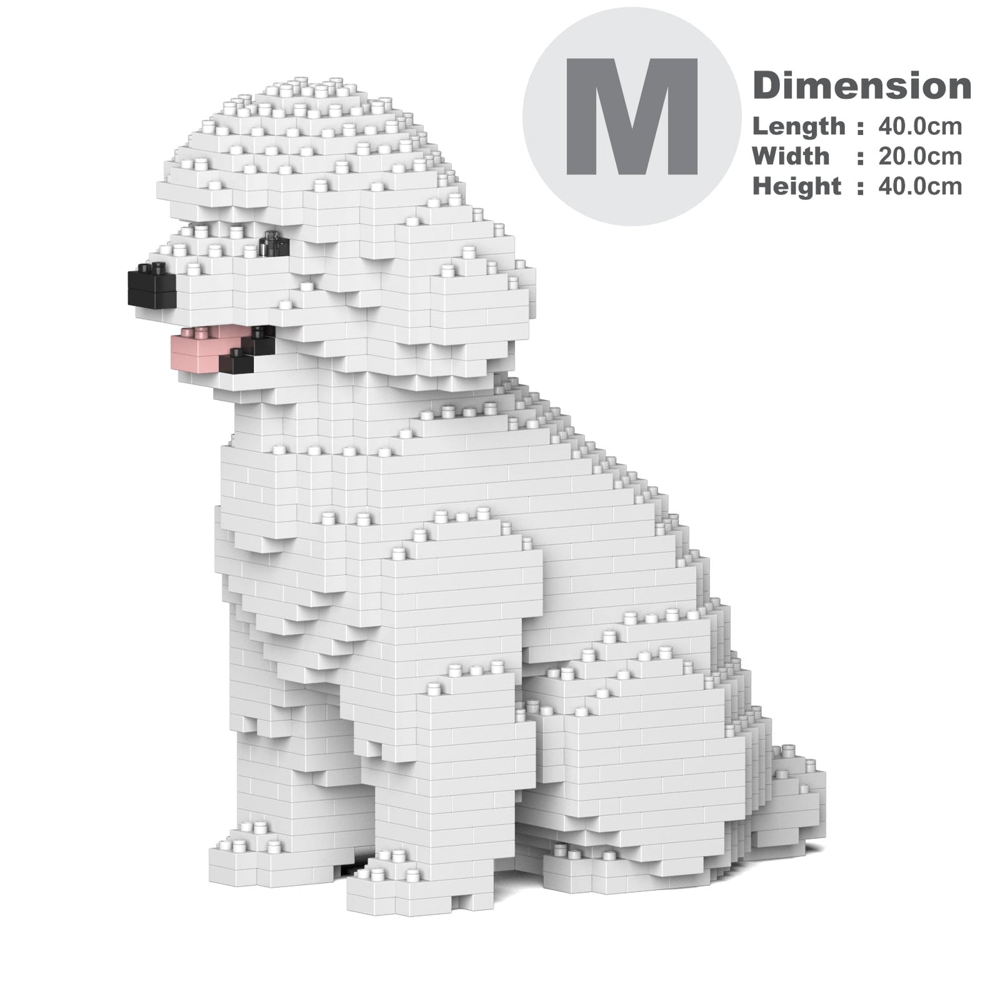 Chien Caniche Nain assis blanc