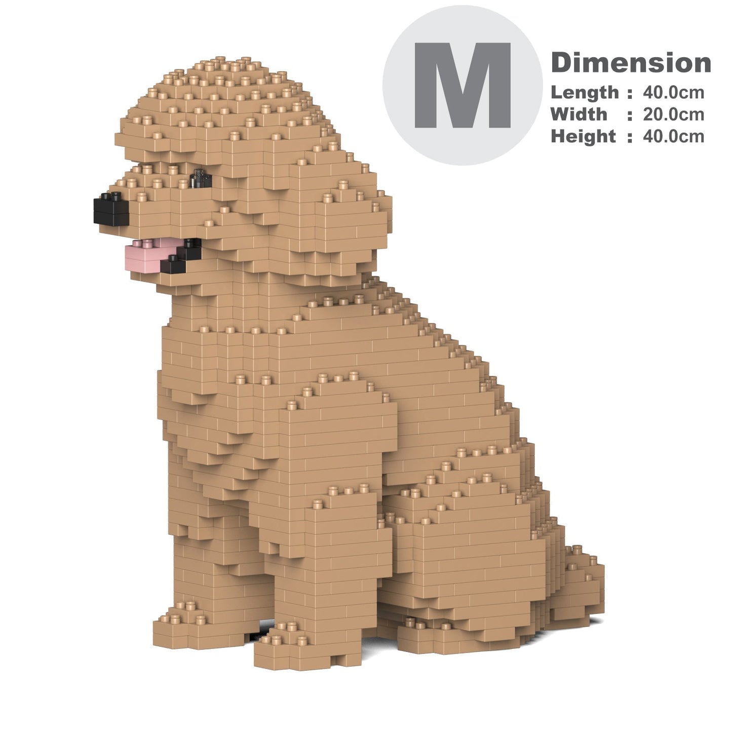 Chien Caniche Nain assis beige