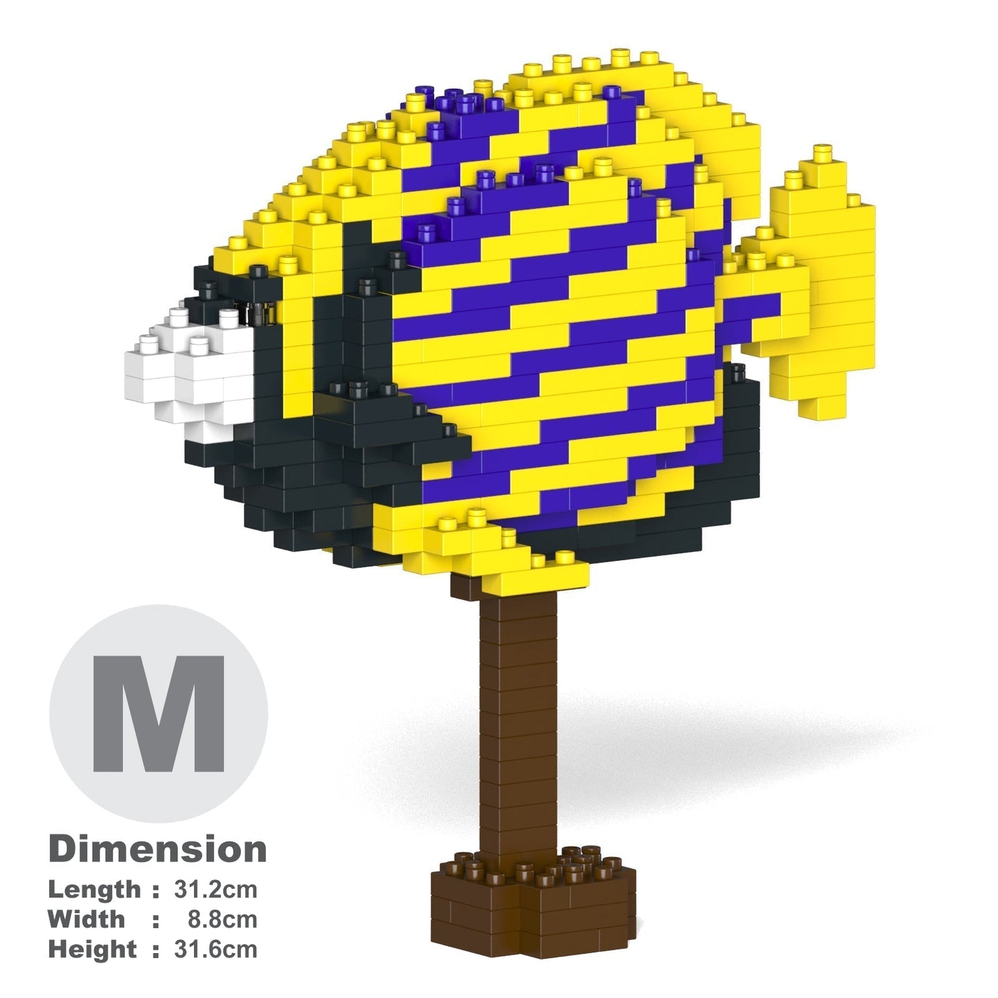 Poisson Ange de mer impérial