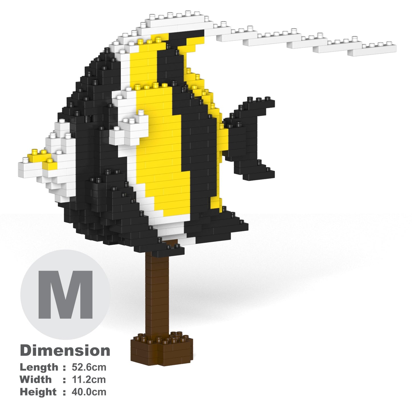 Poisson Idole des Maures