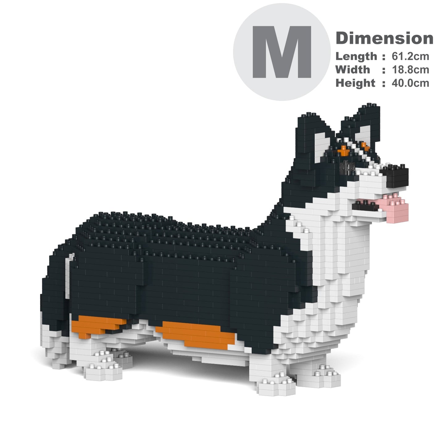 Chien Welsh Corgi noir