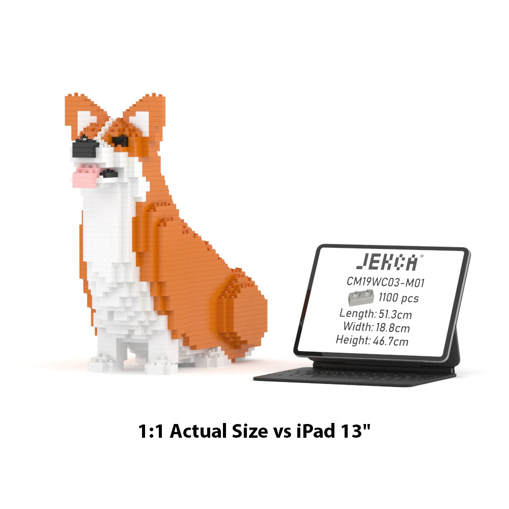 Chien Welsh Corgi assis roux