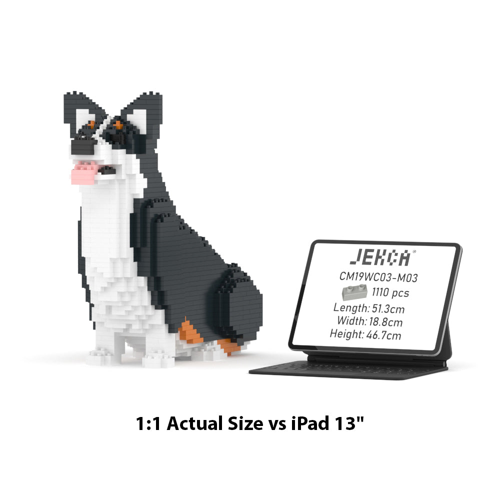 Chien Welsh Corgi assis noir