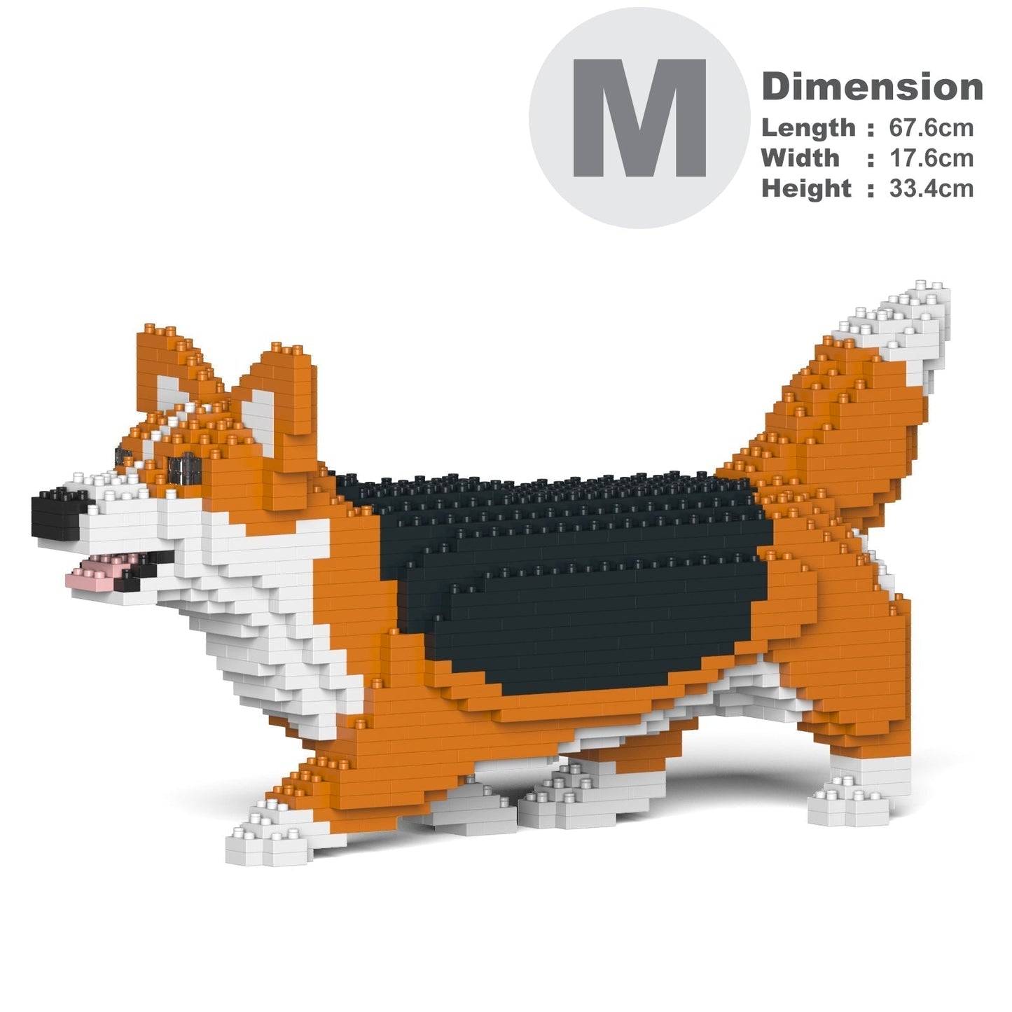 Chien Welsh Corgi qui marche roux et noir