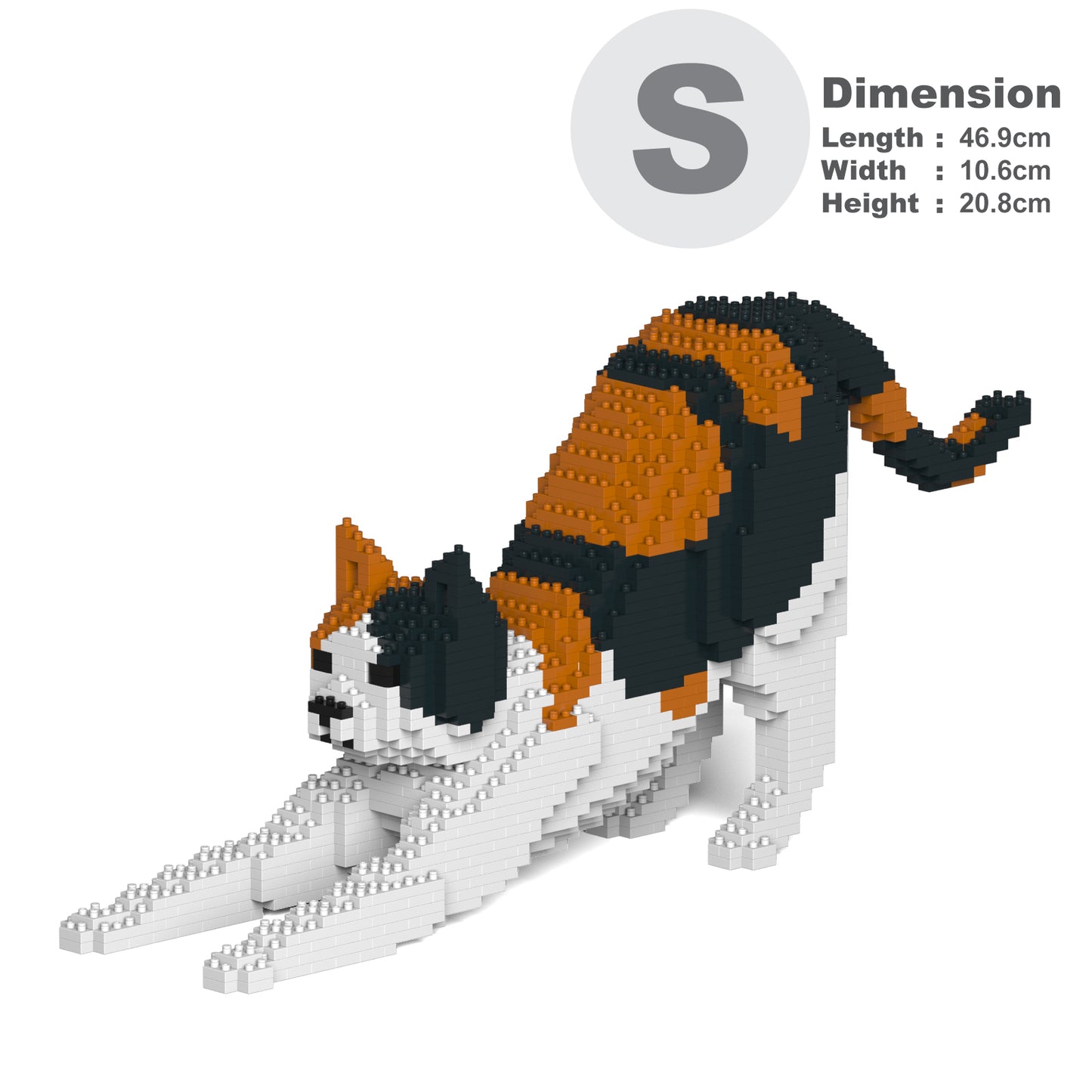 Chat Calico qui s'étire