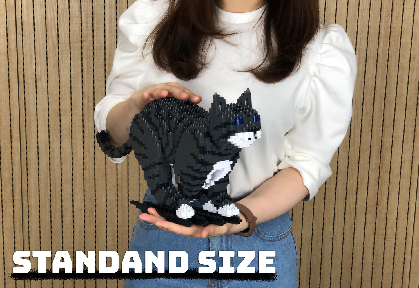 Chat Tigré gris foncé qui court