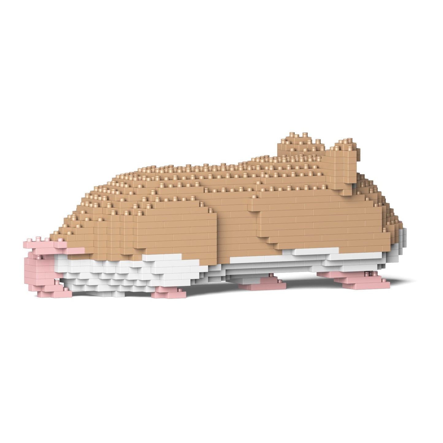 Hamster beige couché