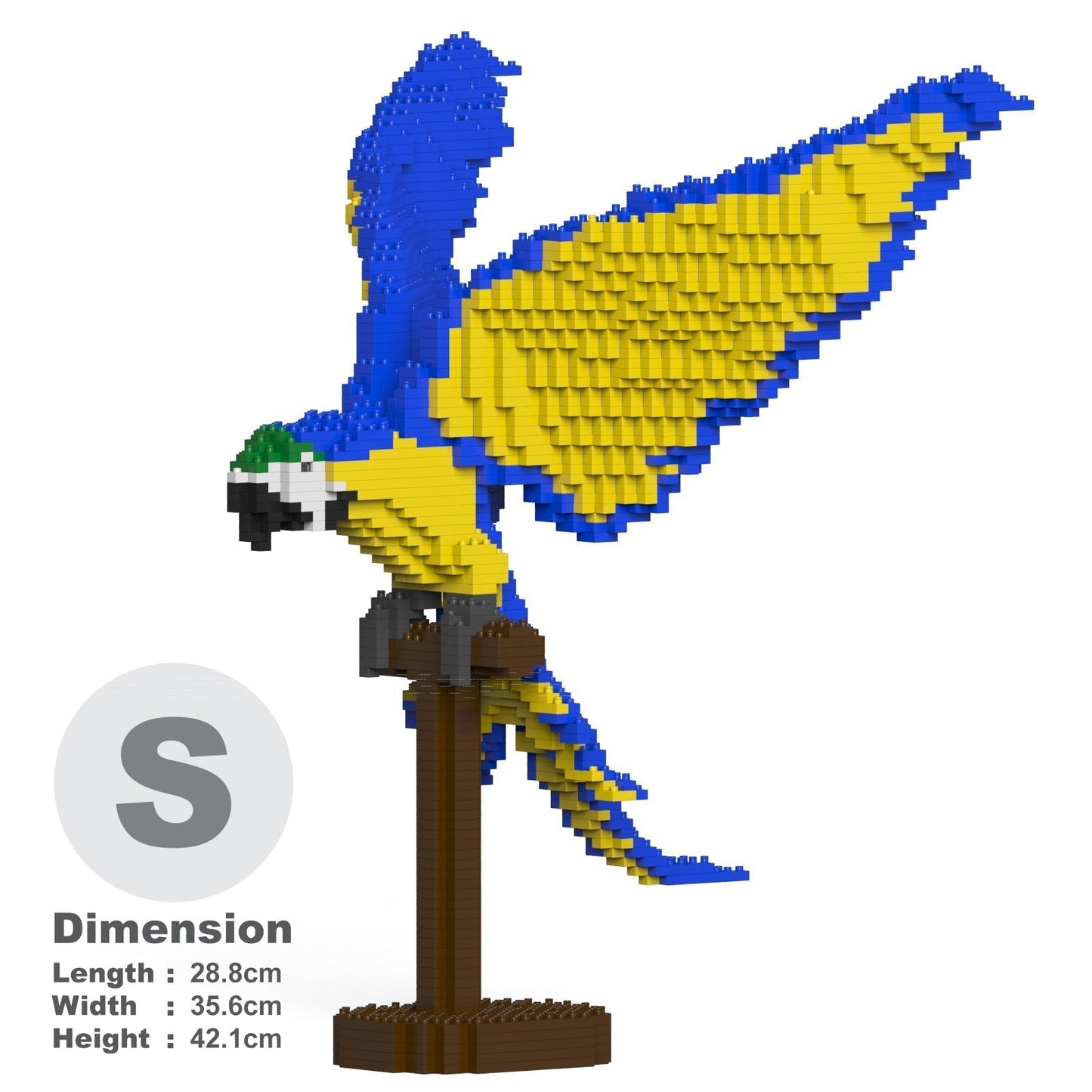 Perroquet Ara bleu et jaune ailes déployées