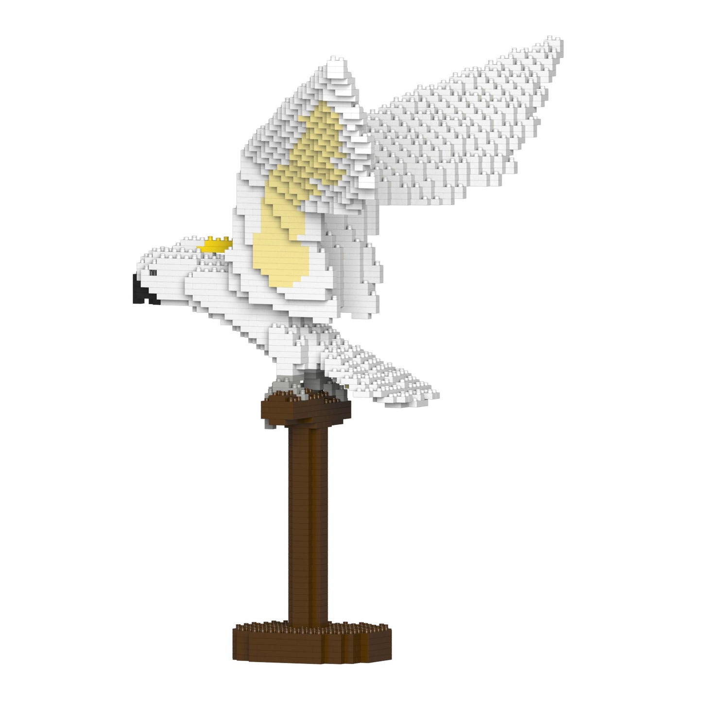 Cacatoès à huppe jaune ailes déployées