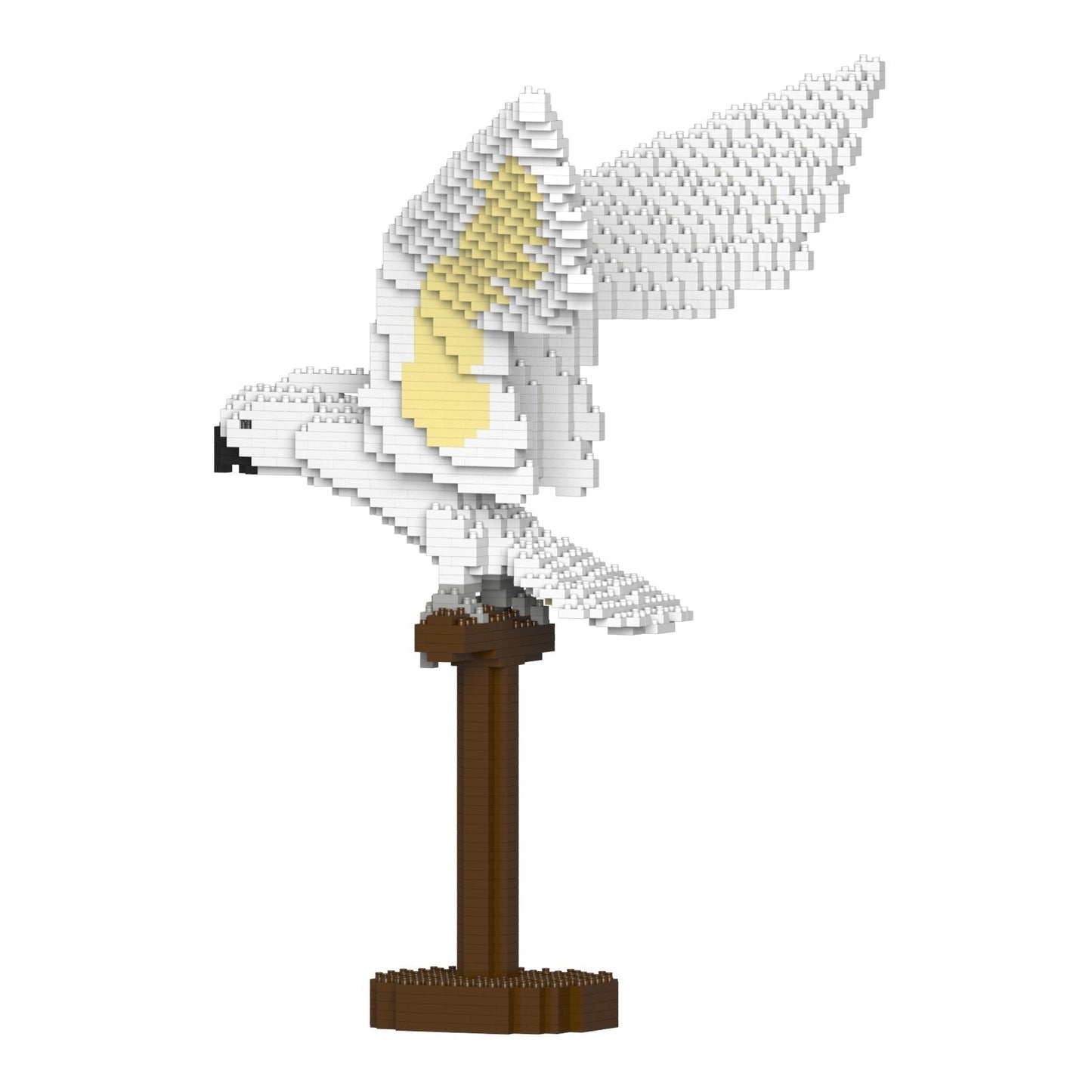 Cacatoès blanc ailes déployées