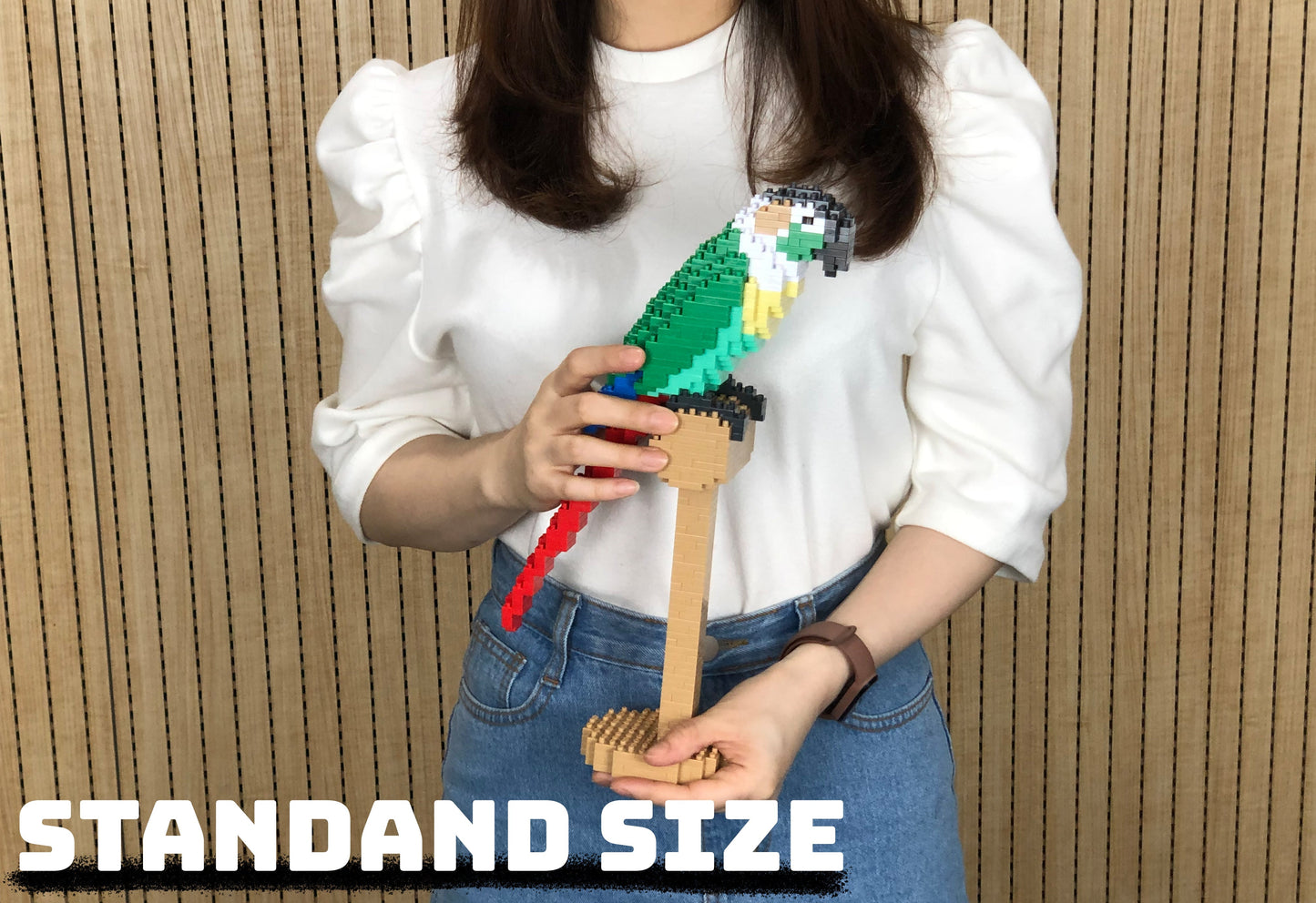 Conure de Molina à tête grise