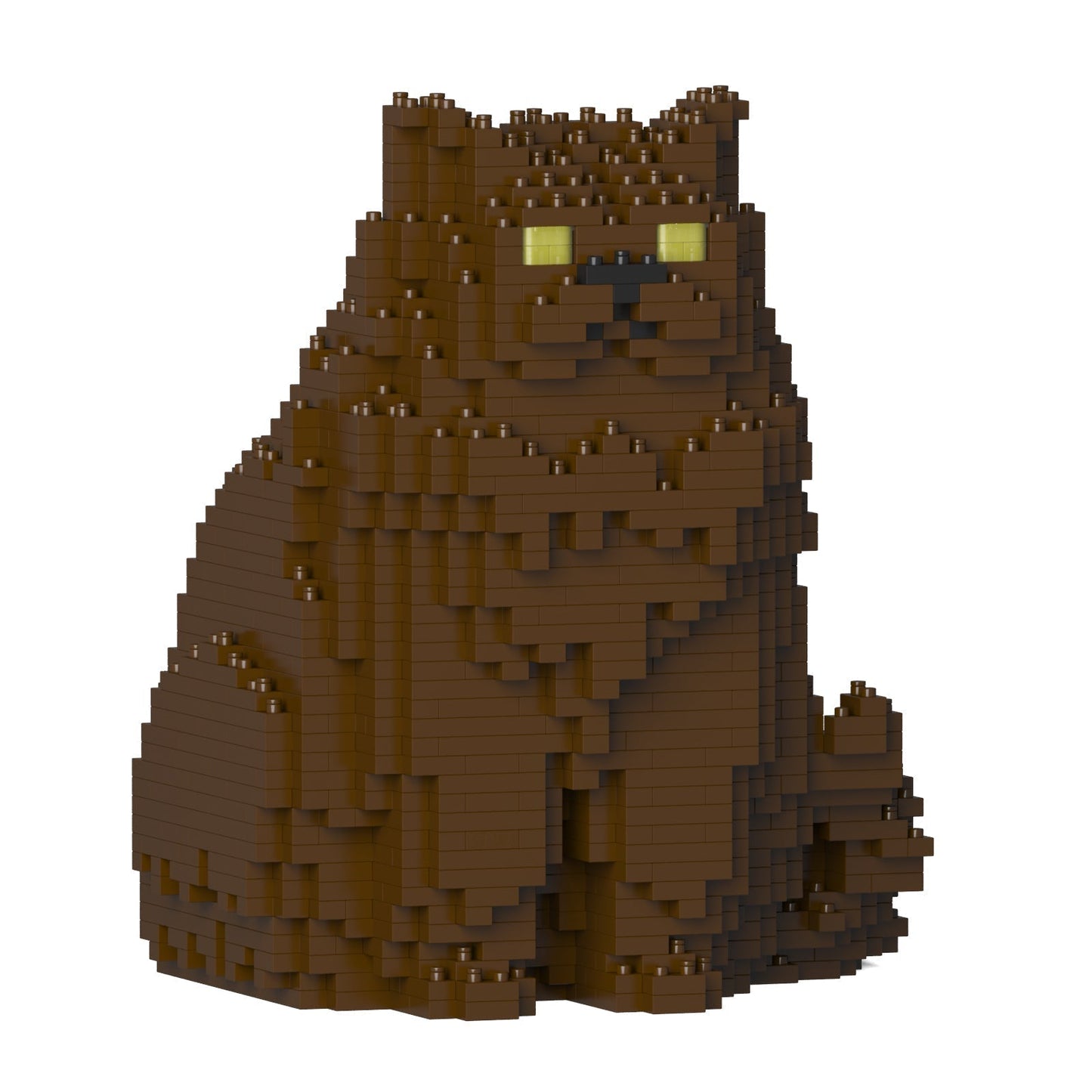 Chat Persan marron assis