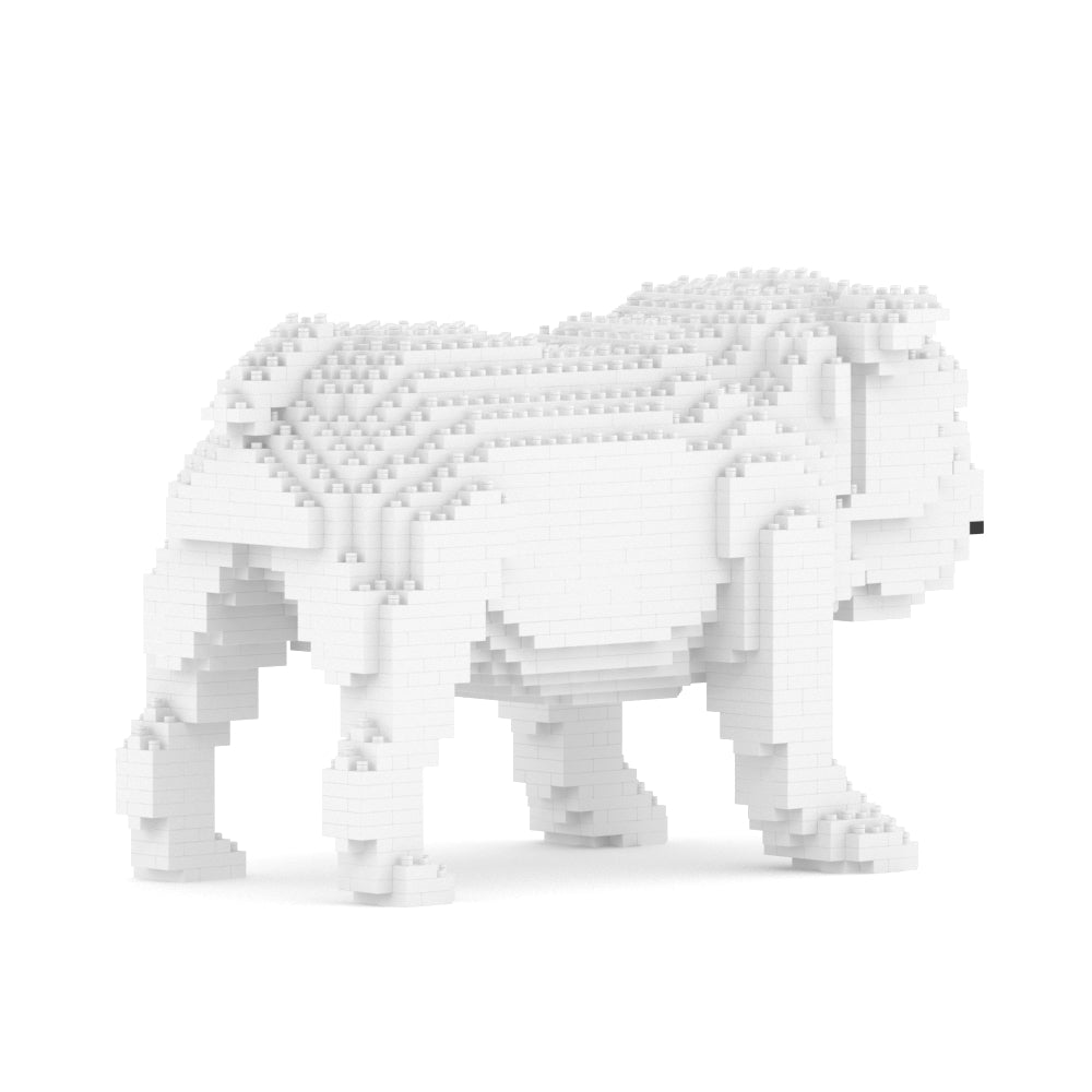 Chien Bulldog Anglais blanc