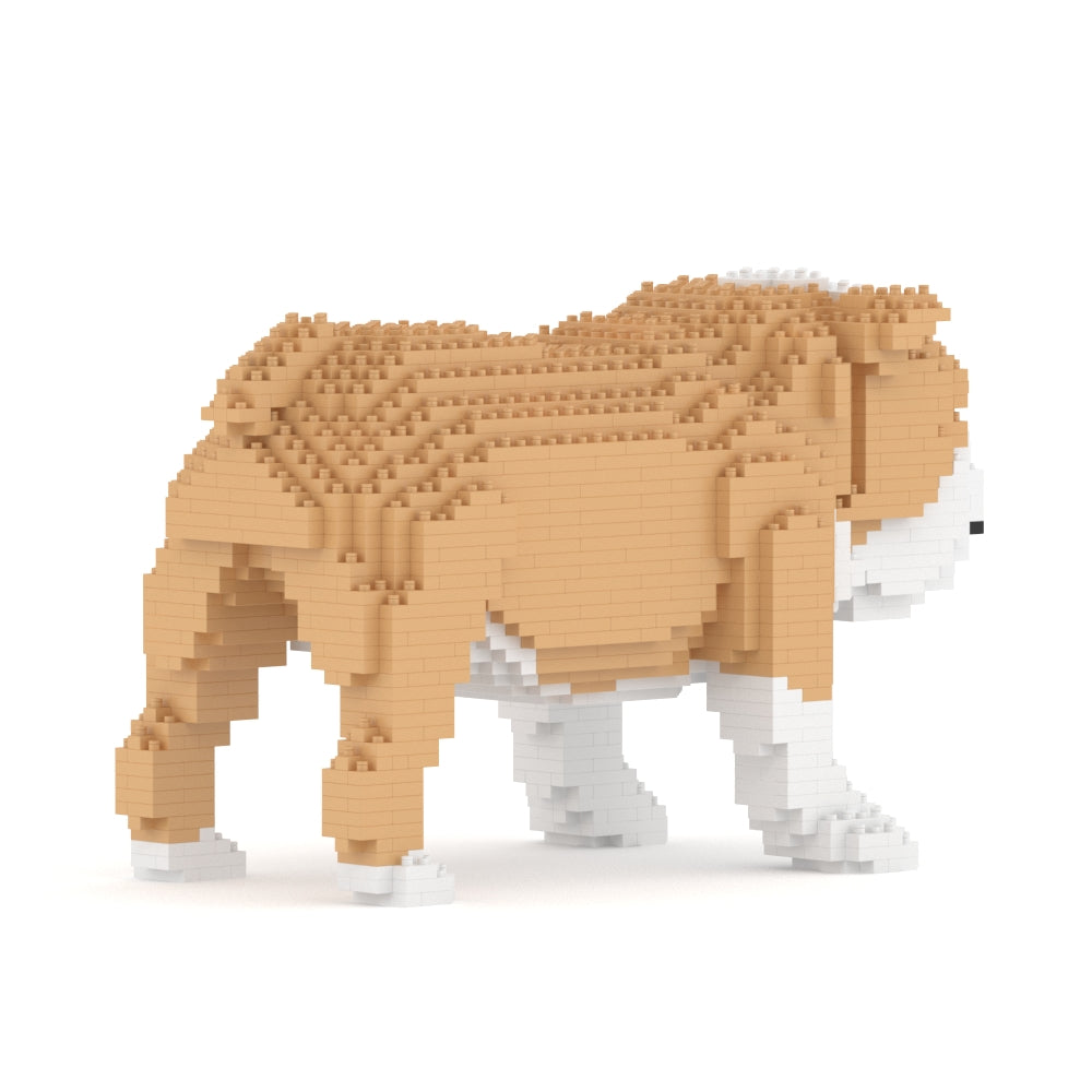 Chien Bulldog Anglais beige