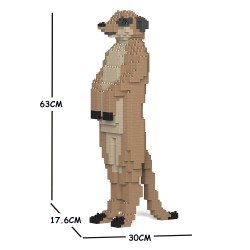 Large meerkat