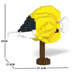 Poisson Pincette jaune grande taille