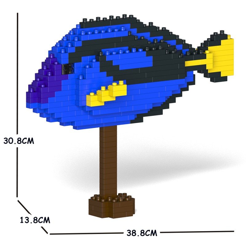 Large blue tang fish