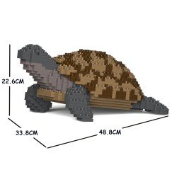 Tortue Grecque grande taille