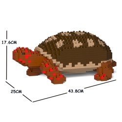 Tortue Charbonnière à pattes rouges grande taille