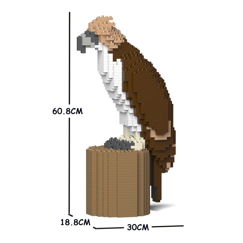 Large Philippine Eagle