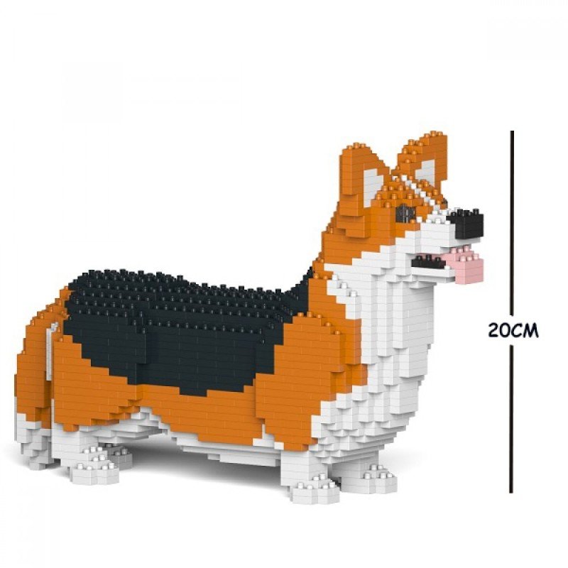 Ginger and black Welsh Corgi dog