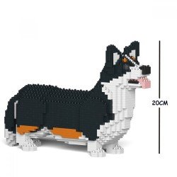 Black Welsh Corgi dog