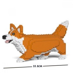 Chien Welsh Corgi qui marche roux