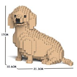 Chien Teckel qui tourne la tête crème