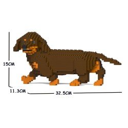 Brown and Tan Walking Dachshund Dog