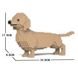 Chien Teckel la queue en l'air crème